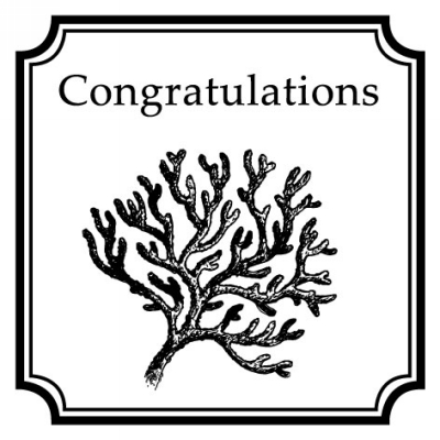 Salutations Coral Congrats Clip for Three Desigining Women Stamps