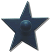 EX02-star-blue_sm.gif