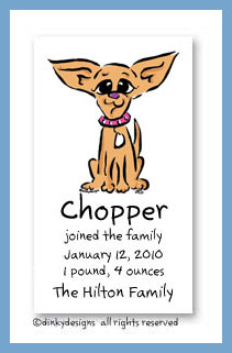 Discounted Dinky Designs Chi-chi the Chihuahua magnets 3.5