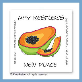 Dinky Designs Discounted Stationery - Papaya magnets 3