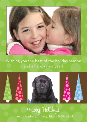 Banded Paisley Digital Photo Card by Noteworthy Collection