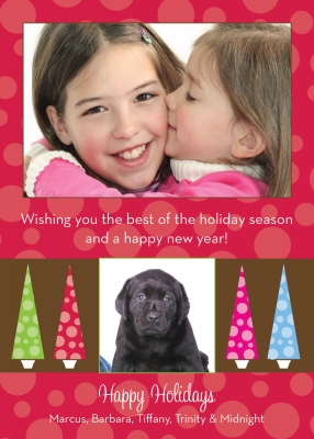 Banded Paisley Blue Digital Photo Card by Noteworthy Collection